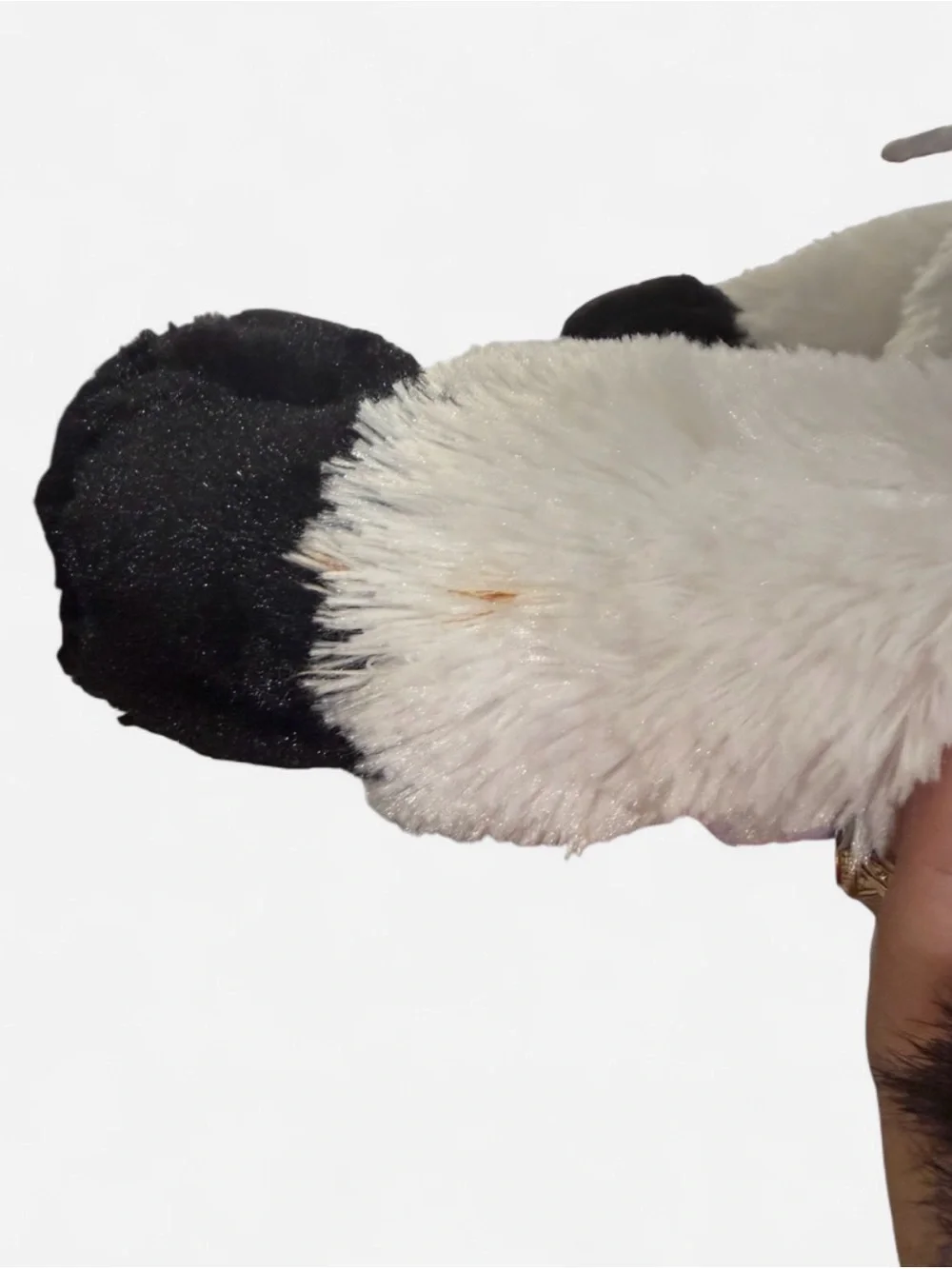 Chick-fil-A Plush Cow- Black & White